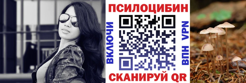 Галлюциногенные грибы Psilocybe  кракен рабочий сайт  Велиж  магазин  наркотиков 